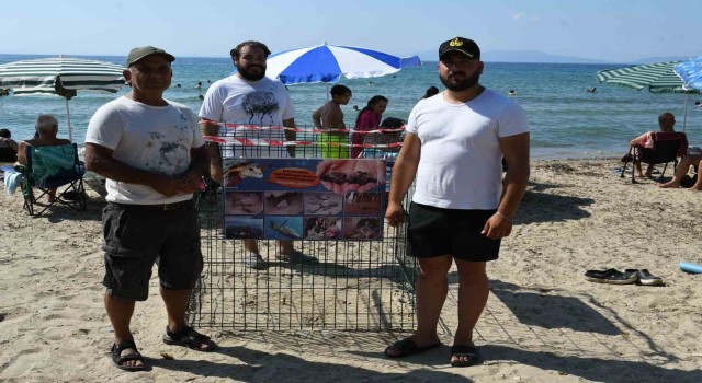 Kuşadası’nda caretta caretta yuvasına çitli koruma