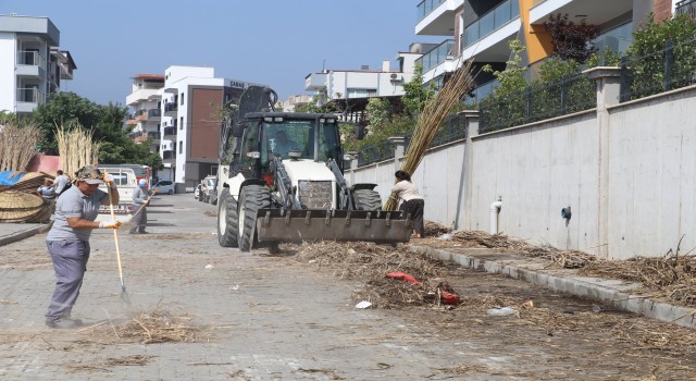 Atatürk Mahallesi sokakları kargı atıklarından kurtuldu