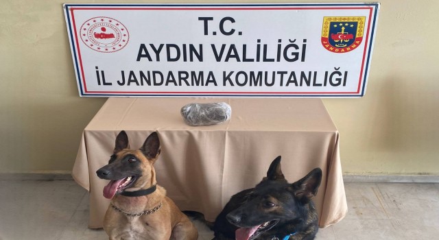 Aydın'da 1 kiloya yakın uyuşturucu yakalandı