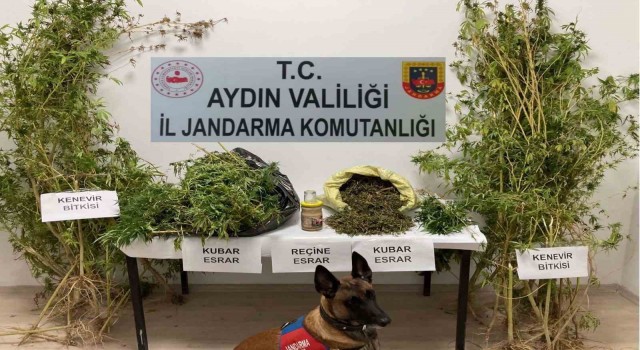 Söke’deki operasyonda 5 kilogram uyuşturucu ele geçirildi