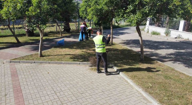 Nazilli’de yabani otlar temizleniyor