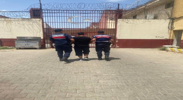 Aydın’da torbacı operasyonu 41 kişi yakalandı