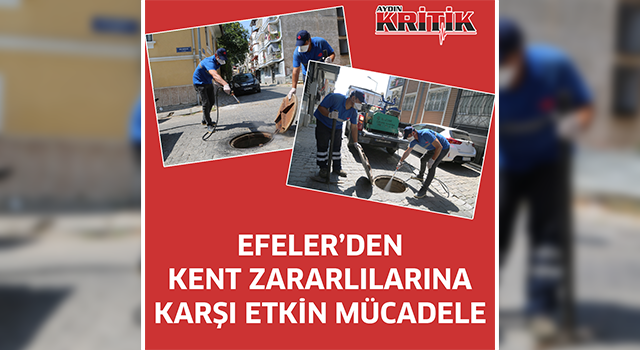 EFELER’DEN KENT ZARARLILARINA KARŞI ETKİN MÜCADELE