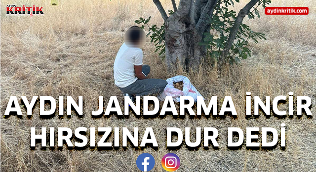 Aydın Jandarma incir hırsızına dur dedi