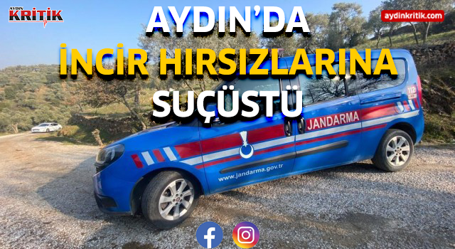 Aydın'da incir hırsızlarına suçüstü