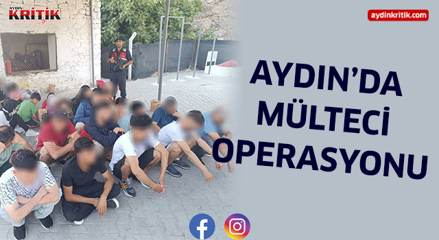 Aydın'da mülteci operasyonu 70 mülteci yakalandı