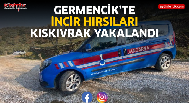 Germencik'te incir hırsızları kıskıvrak yakalandı