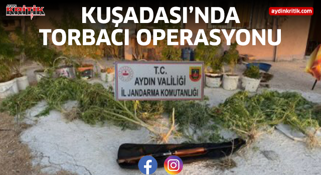 Kuşadası'nda torbacı operasyonu 1 tutuklama