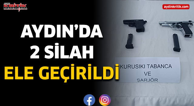 Aydın'da 2 silah ele geçirildi