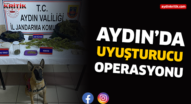 Aydın'da uyuşturucu operasyonu