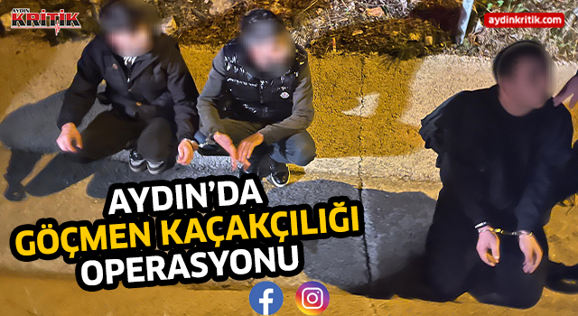 Aydın'da göçmen kaçakçılığı operasyonu