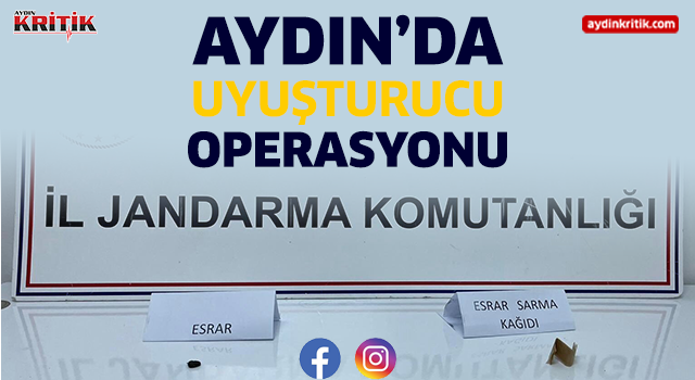 Aydın'da uyuşturucu operasyonu