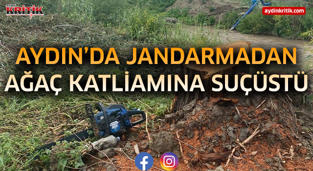 Kuyucak’ta Kamuya Ait Ağaçları Kestiler: 4 Şüpheli Hakkında Adli İşlem Başlatıldı