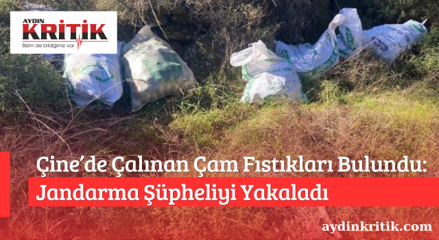 Çine’de Çalınan Çam Fıstıkları Bulundu: Jandarma Şüpheliyi Yakaladı