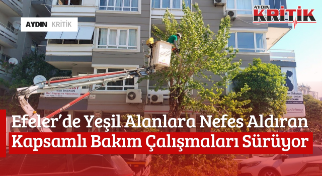 Efeler’de Yeşil Alanlara Nefes Aldıran Kapsamlı Bakım Çalışmaları Sürüyor