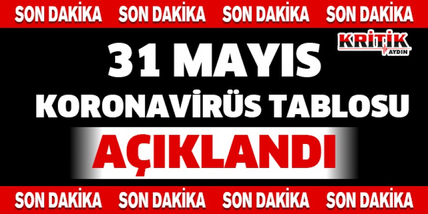 31 Mayıs Türkiye Koronavirüs Tablosu Açıklandı