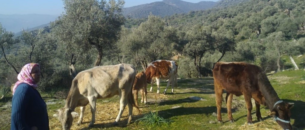 Aldığı hibe ile kendi işinin patronu oldu