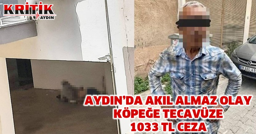 Aydın’da akıl almaz olay. Köpeğe tecavüze 1033 tl ceza!