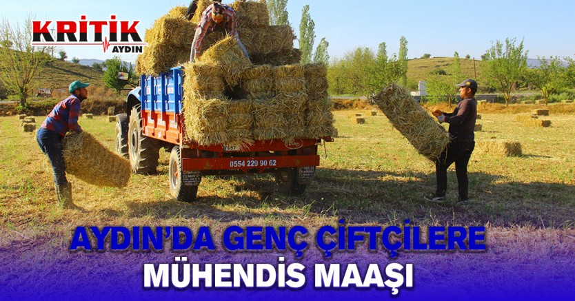 Aydın'da genç çiftçilere mühendis maaşı