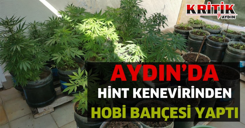 Aydın’da Hint Kenevirinden Hobi Bahçesi Yaptı