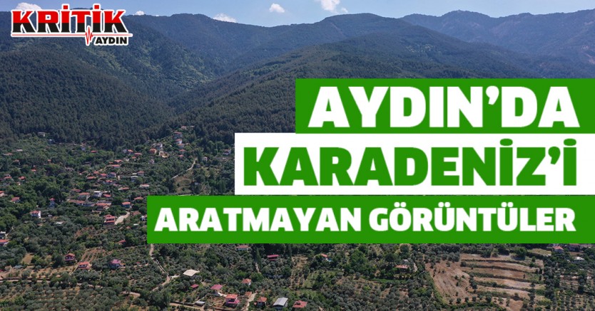 Aydın'da Karadeniz'i aratmayan görüntüler