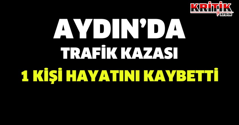 Aydın'da Trafik Kazası