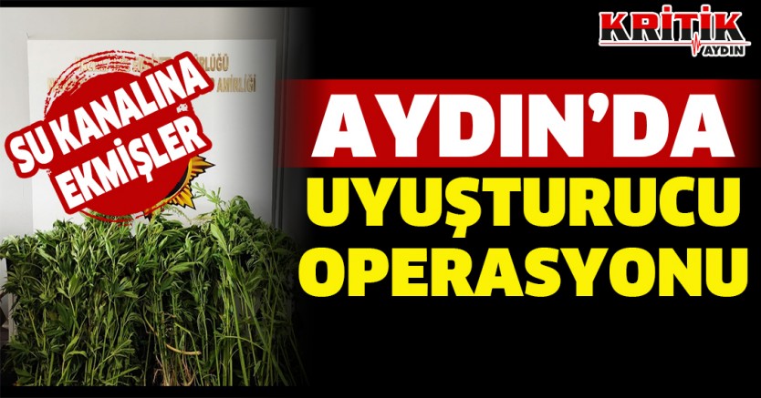 Aydın'da Uyuşturucu Operasyonu