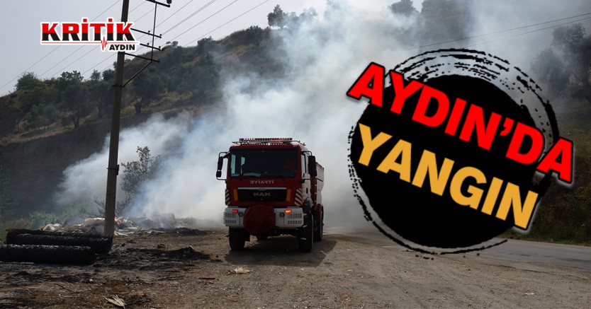 Aydın'da yangın