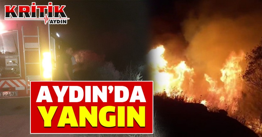 Aydın'da Yangın!