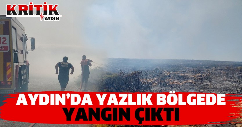 Aydın'da yazlık bölgede yangın çıktı