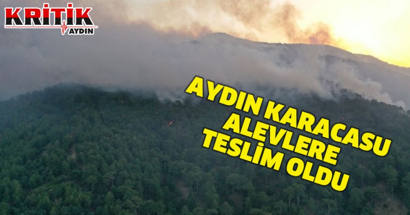 Aydın Karacasu alevlere teslim oldu