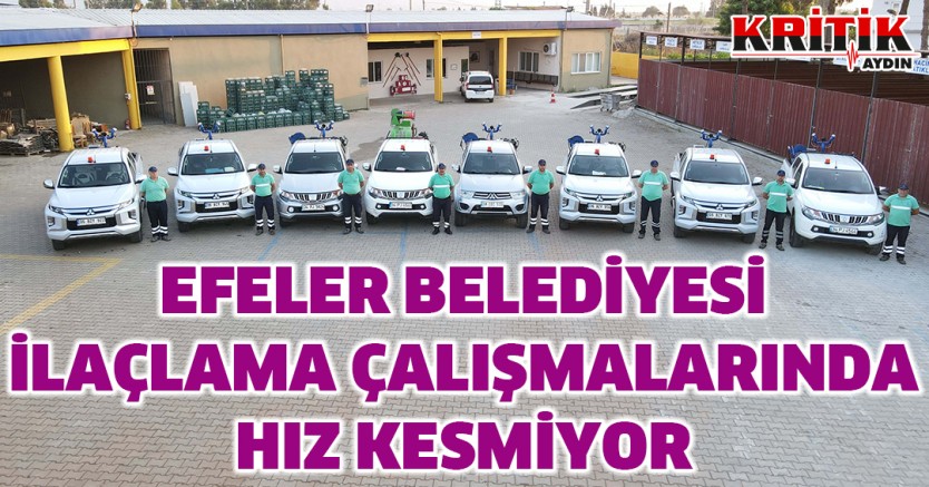 Efeler Belediyesi ilaçlama çalışmalarında hız kesmiyor