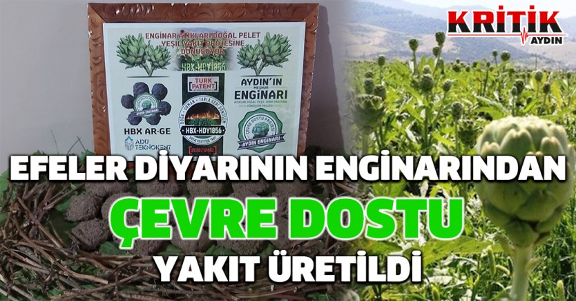 Efeler diyarının enginarından çevre dostu yakıt üretildi