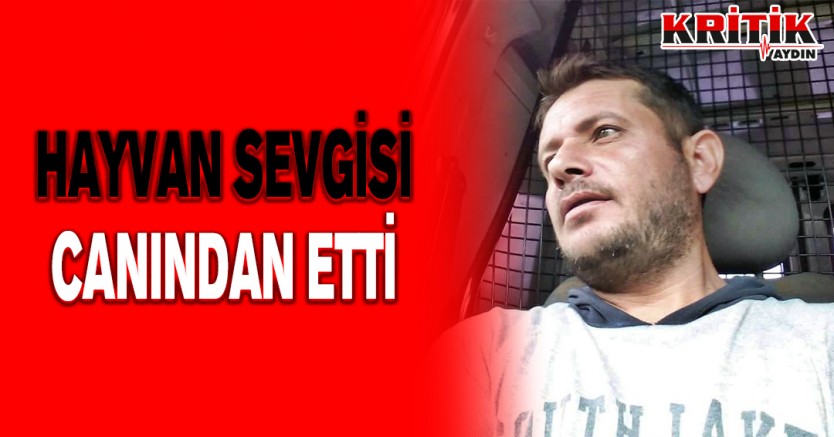 Hayvan sevgisi canından etti