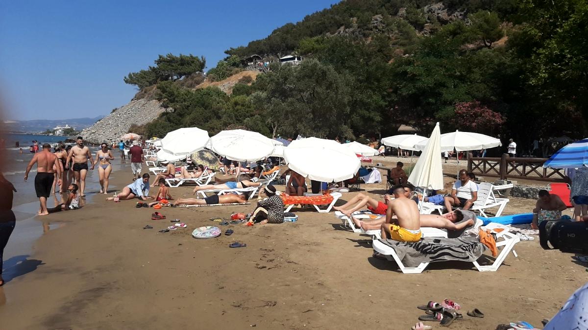 Kuşadası Milli Park'ındaki şezlong ve şemsiye fiyatları tepki çekti: Bu kadar da olmaz, yazıktır, günahtır