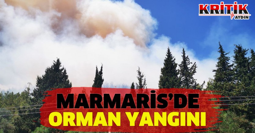 Marmaris'de orman yangını