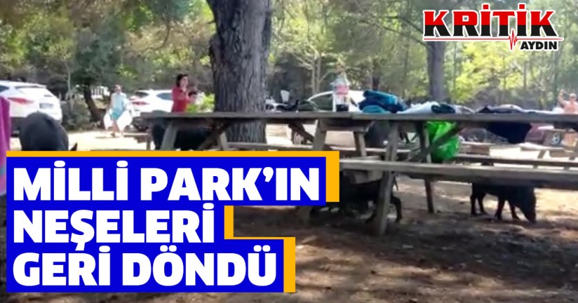 Milli Park'ın neşeleri geri döndü