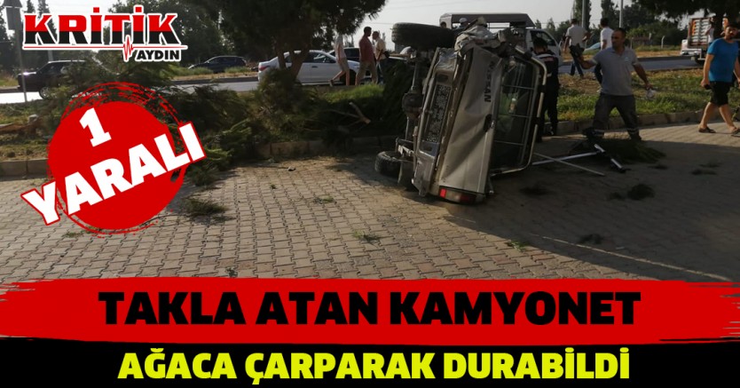 Takla atan kamyonet ağaca çarparak durabildi-1 yaralı