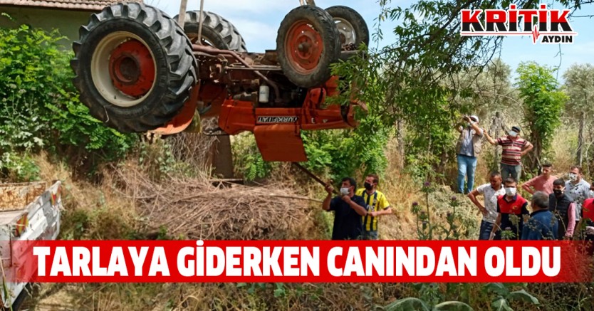 Tarlaya giderken canından oldu