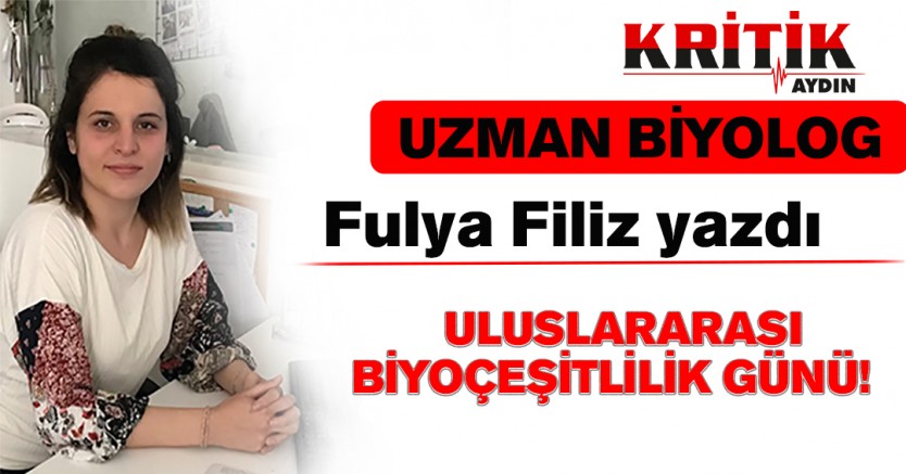 Uluslararası Biyoçeşitlilik Günü! 