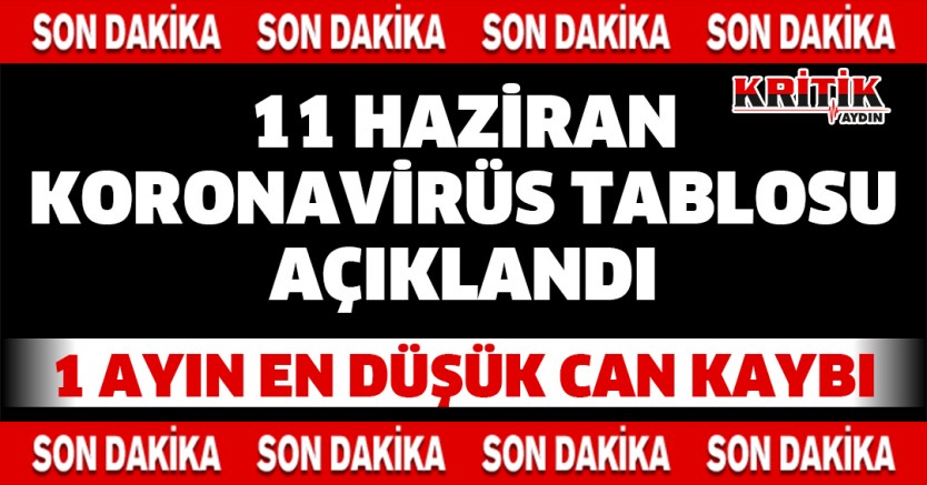 11 Haziran Koronavirüs Tablosu Açıklandı