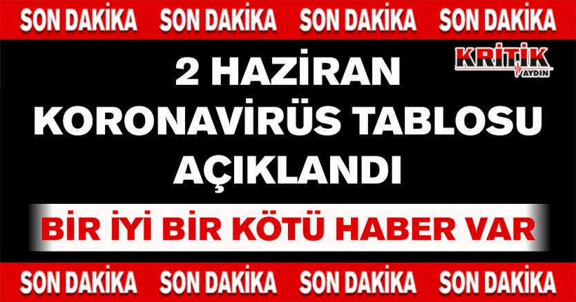 2 Haziran Koronavirüs Tablosu Açıklandı