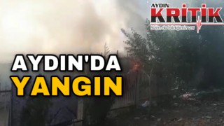 Aydın’da yangın!