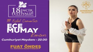 18. incir festivali için geri sayım başladı