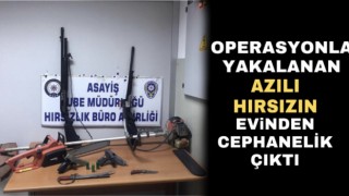 Operasyonla yakalanan azılı hırsızın evinden cephanelik çıktı