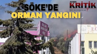 Söke’de orman yangını