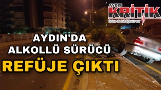 Aydın’da alkollü sürücü refüje çıktı