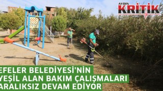 Efeler Belediyesi'nin yeşil alan bakım çalışmaları aralıksız devam ediyor