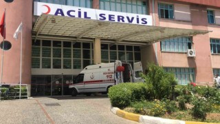 Eşeği ile birlikte yuvarlanan çiftçi ambulansla hastaneye kaldırıldı