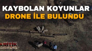 Kaybolan koyunlar drone ile bulundu